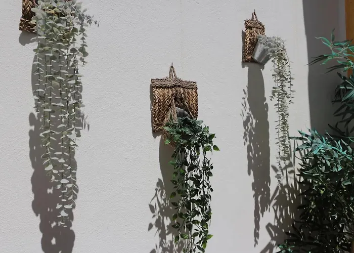 Birdy House